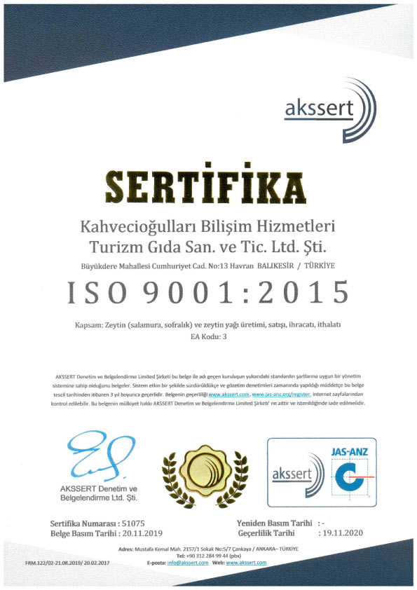 ISO-9001-TR.jpg